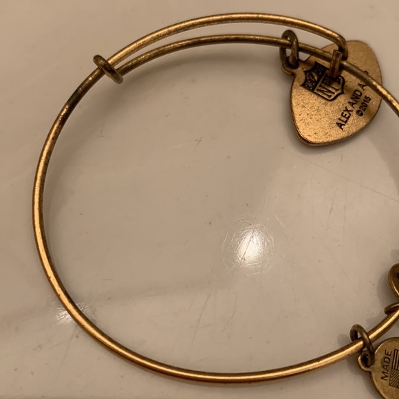 Alex and Ani Pittsburgh Steelers Bangle Bracelet - Picture 4 of 4